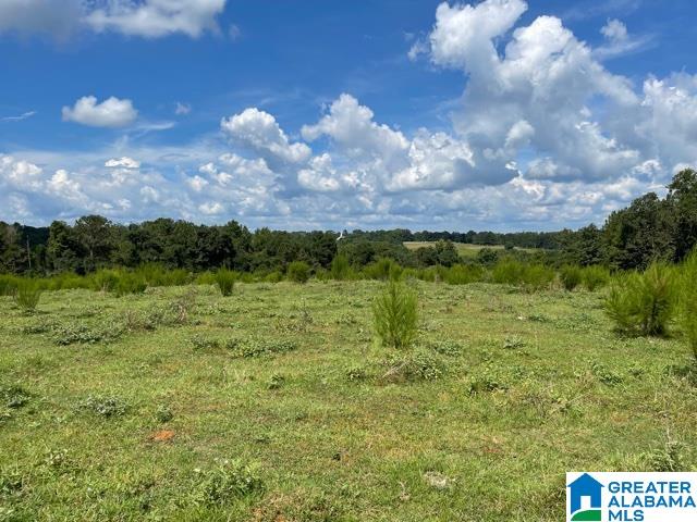 95 County Road, Unit 26 78 Wedowee, AL 36278 - Photo 1 of 10