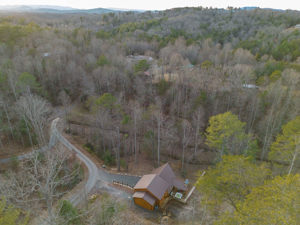 87 Lonesome Dove Trail Blue Ridge, GA 30513 - Photo 60 of 75 Gallery Image 60