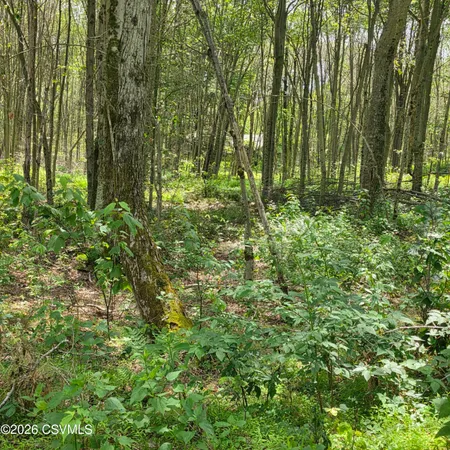 $45,000 | Lot 2 Pioneer Trail, Muncy Valley, PA 17758