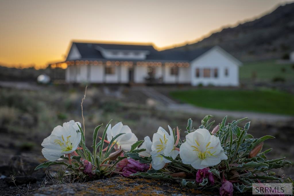 1032 East Butte Road Menan, ID 83434 - Photo 8 of 80