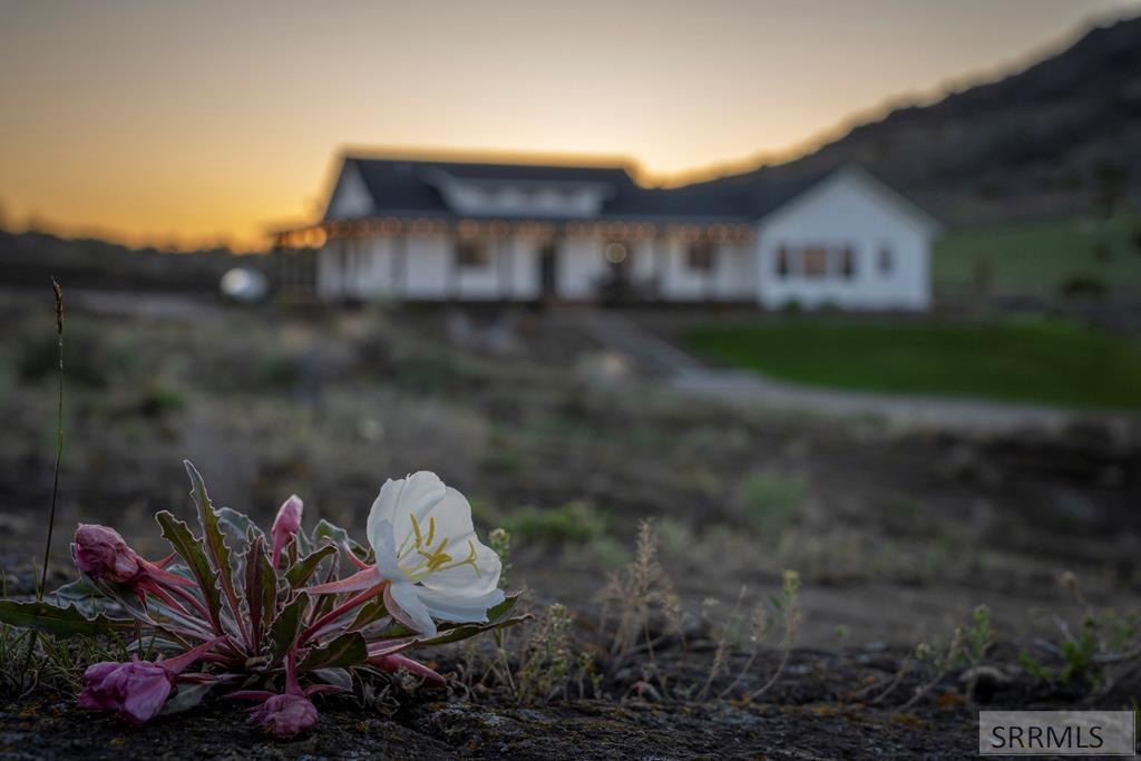 1032 East Butte Road Menan, ID 83434 - Photo 9 of 80