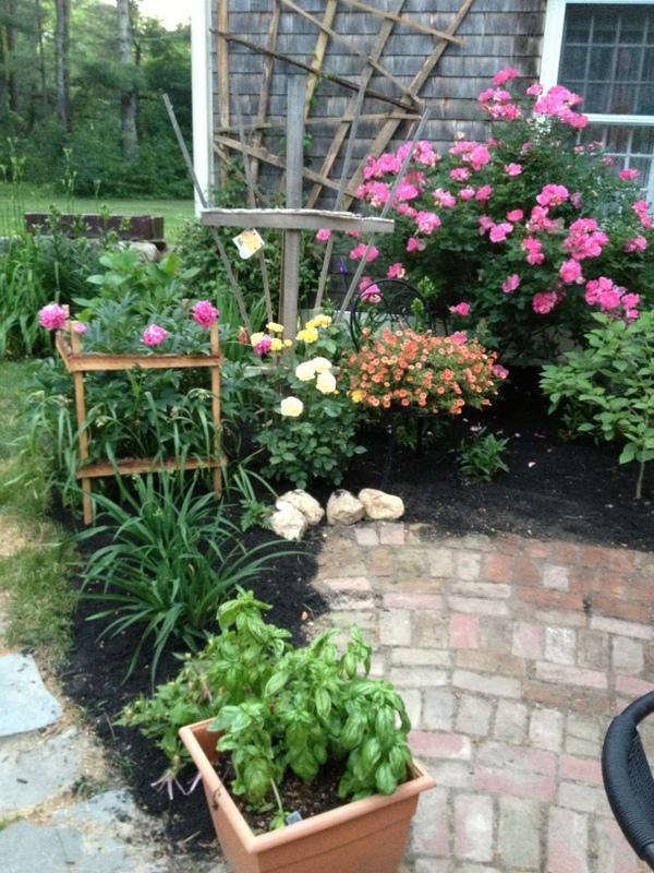 520 Main Street Wareham, MA 02571 - Photo 25 of 32 a view of a flower in a yard