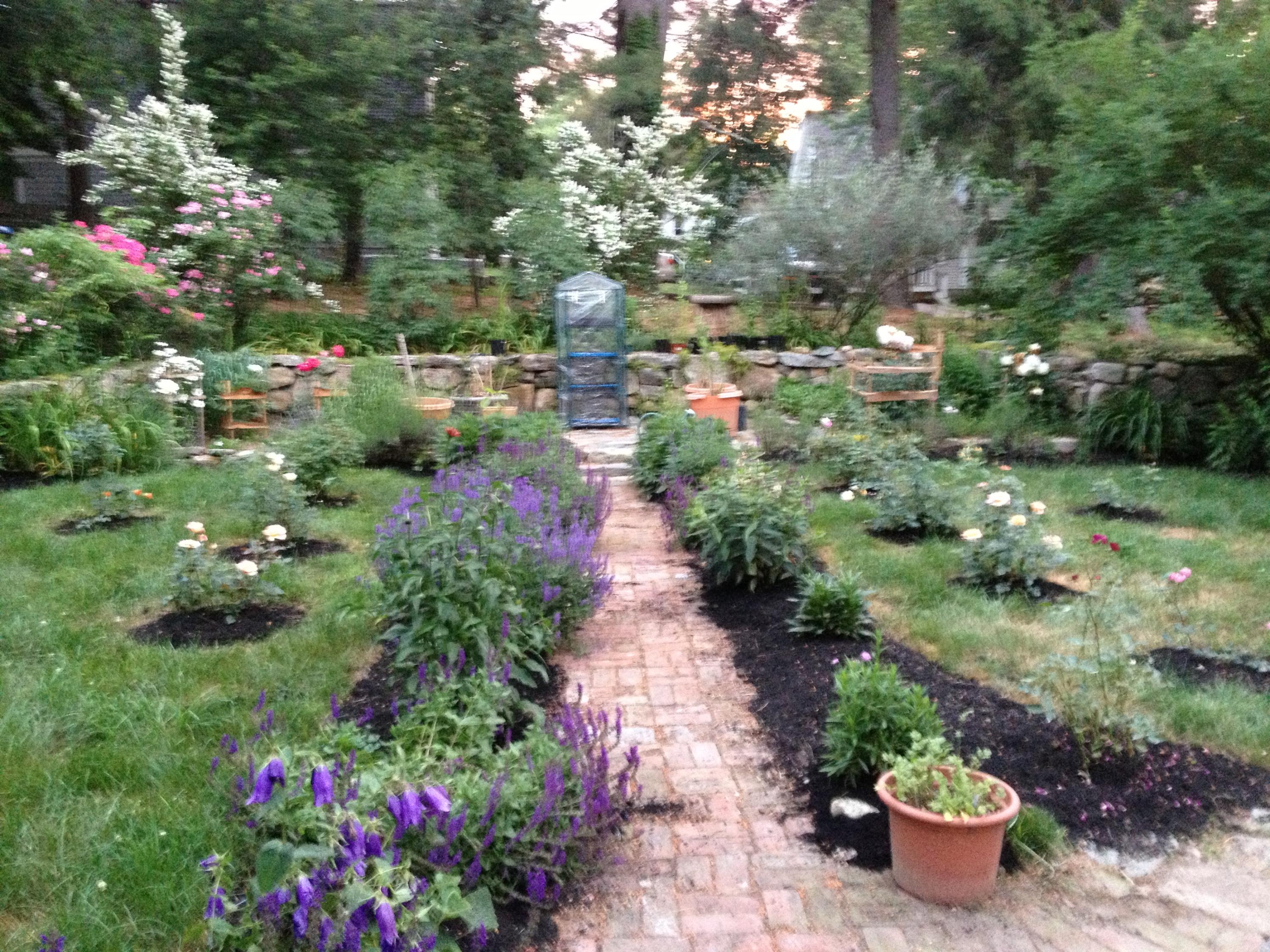 520 Main Street Wareham, MA 02571 - Photo 26 of 32 a view of a garden with potted plants and large trees