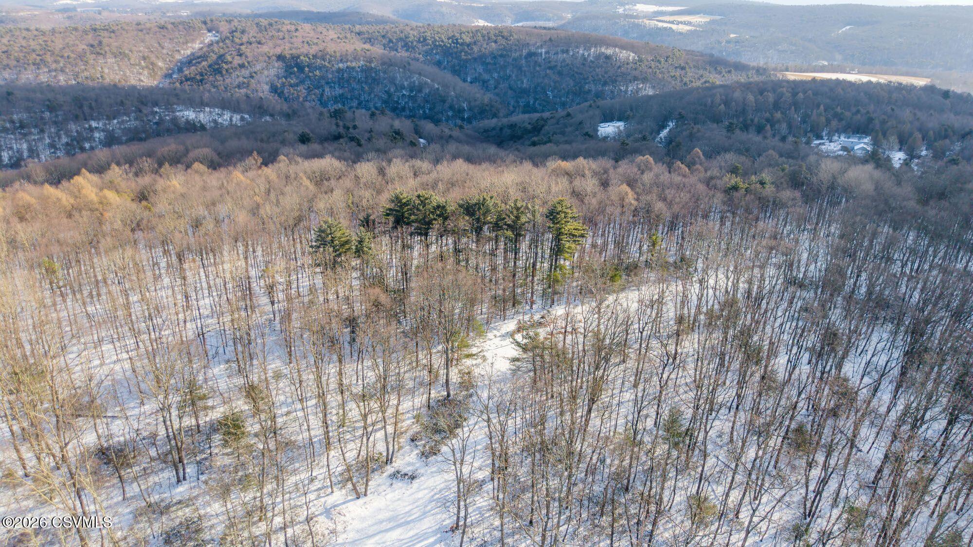 Hillside Road Millville, PA 17846 - Photo 13 of 14 Gallery Image 13
