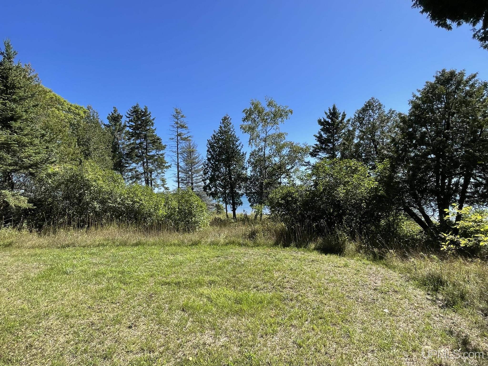 Tbd Ll Road Garden, MI 49835 - Photo 32 of 49