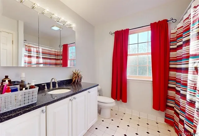 a bathroom with a sink toilet vanity and shower