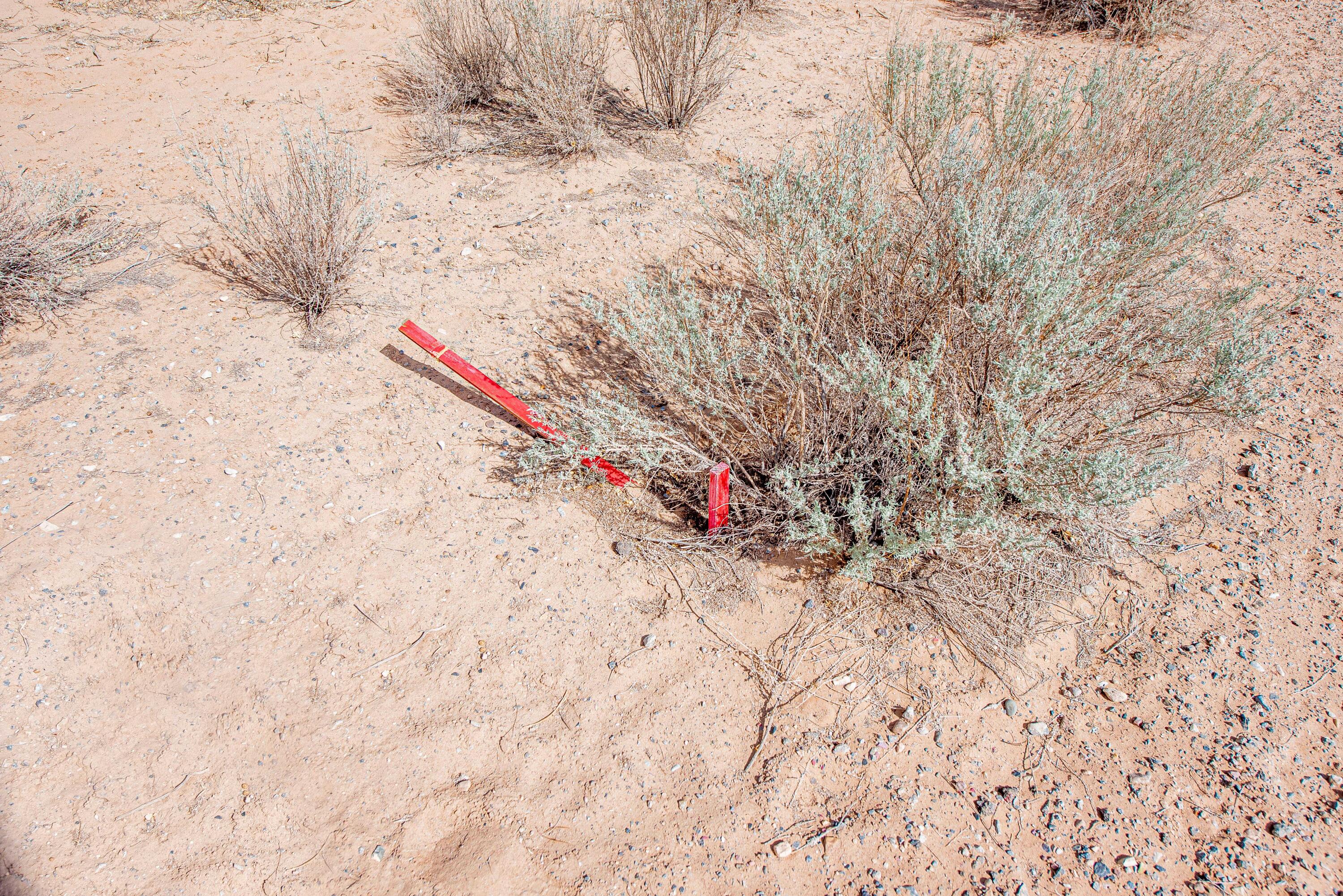 0 Don Julio Road Corrales, NM 87048 - Photo 23 of 29 Gallery Image 23