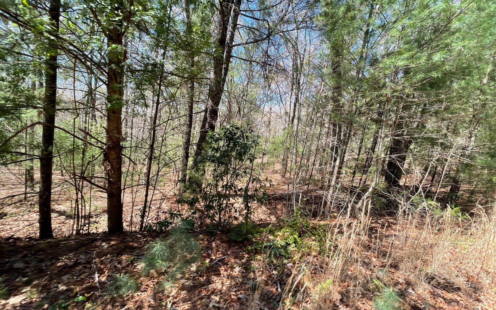 22-ac Valley Branch Road Blue Ridge, GA 30513 - Photo 11 of 74 Additional View