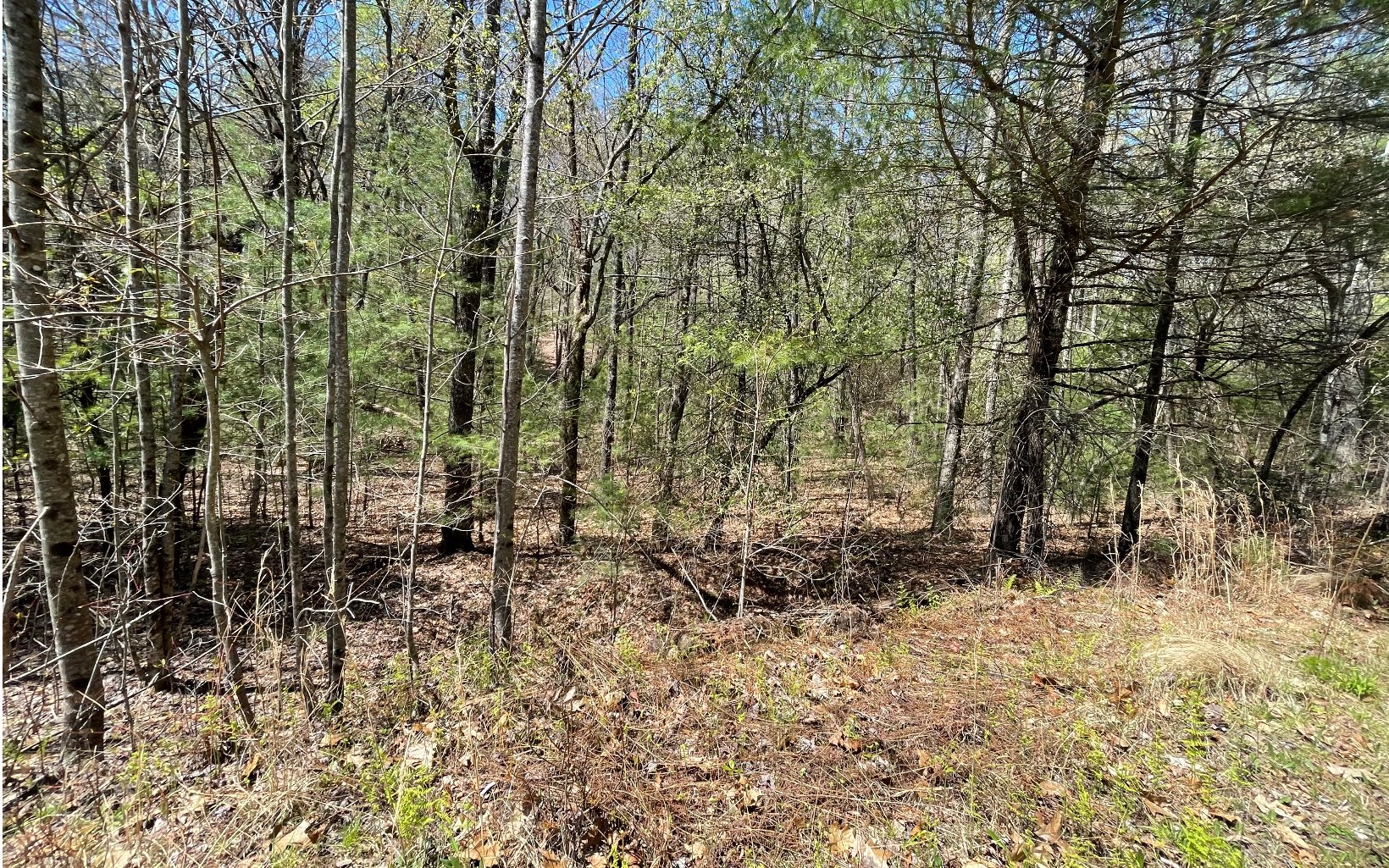 22-ac Valley Branch Road Blue Ridge, GA 30513 - Photo 12 of 74 Additional View