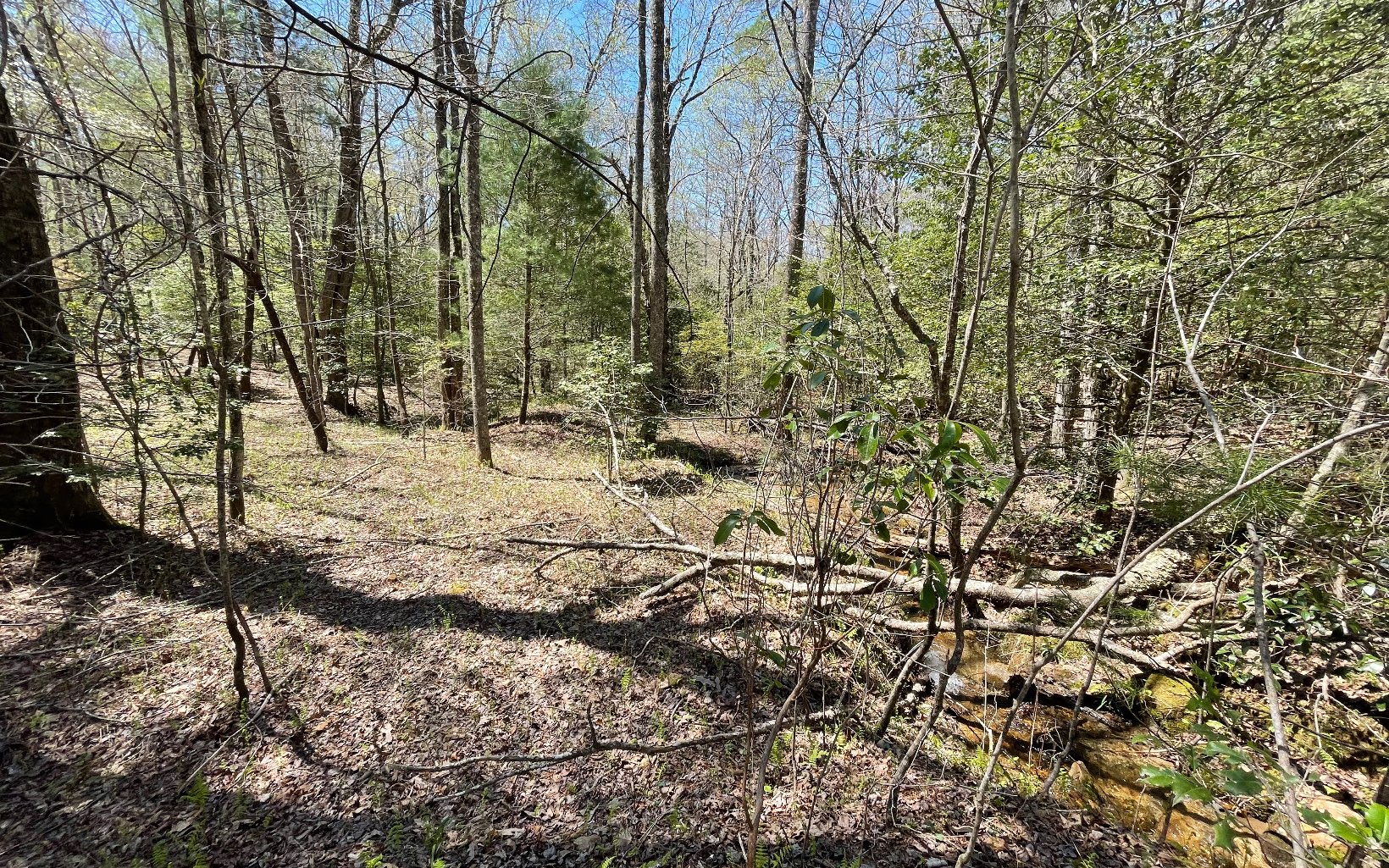 22-ac Valley Branch Road Blue Ridge, GA 30513 - Photo 19 of 74 Additional View