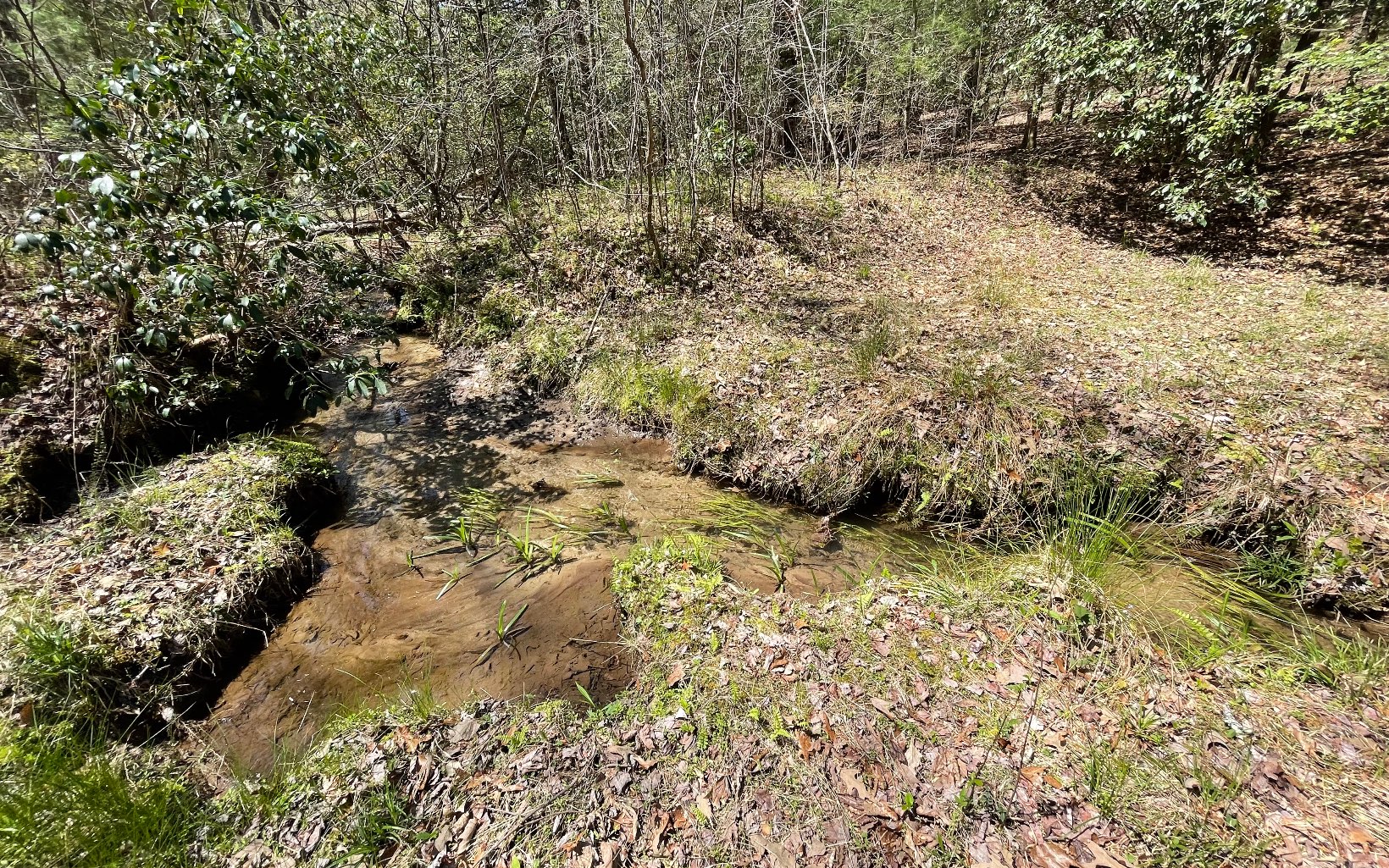 22-ac Valley Branch Road Blue Ridge, GA 30513 - Photo 20 of 74 Additional View
