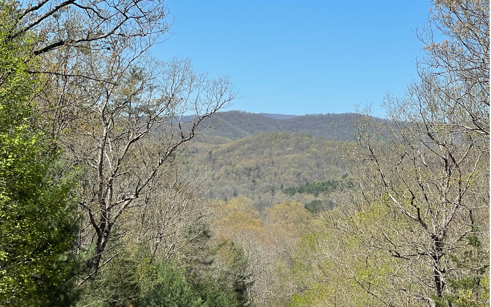 22-ac Valley Branch Road Blue Ridge, GA 30513 - Photo 2 of 74 Additional View