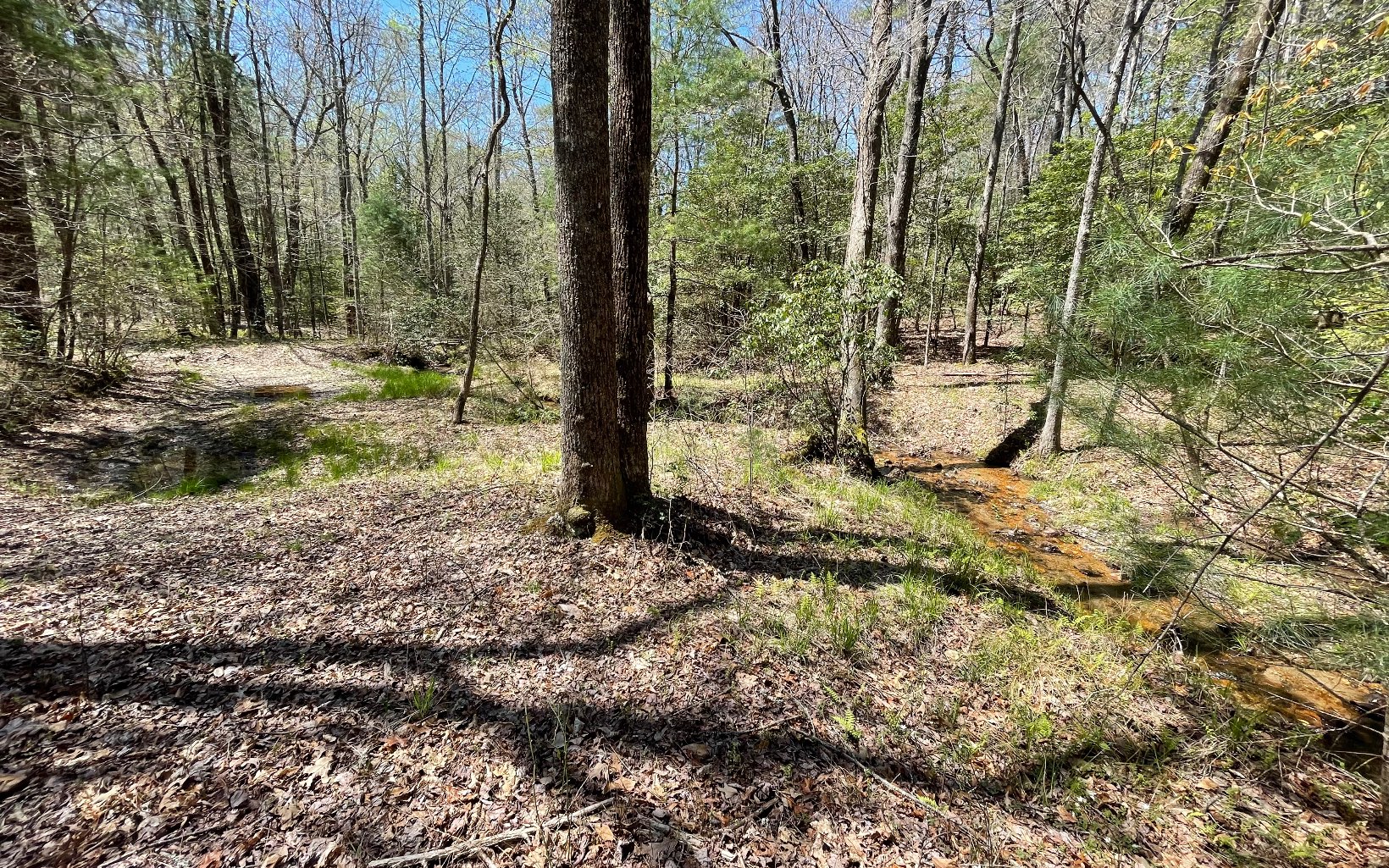 22-ac Valley Branch Road Blue Ridge, GA 30513 - Photo 22 of 74 Additional View