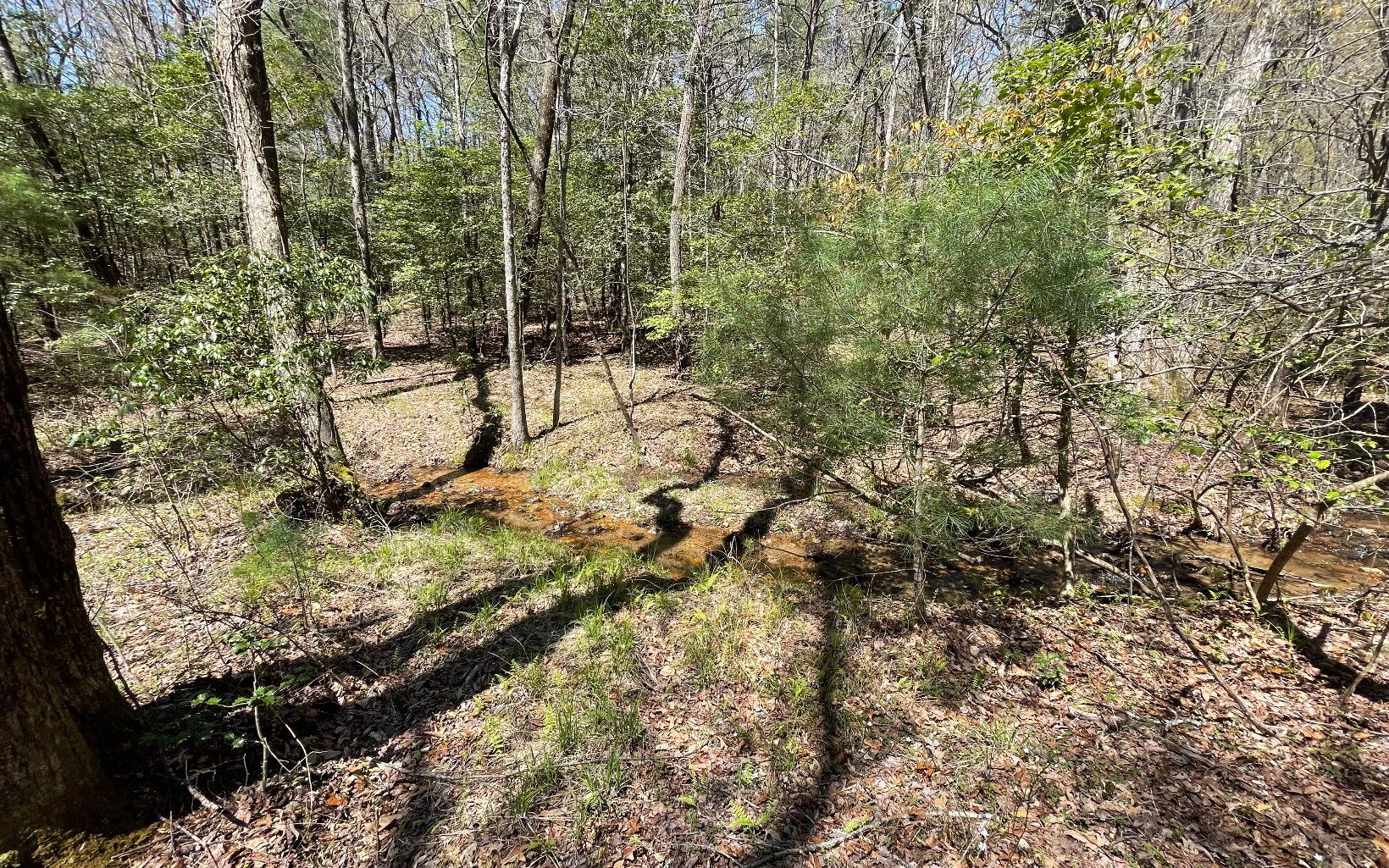 22-ac Valley Branch Road Blue Ridge, GA 30513 - Photo 23 of 74 Additional View