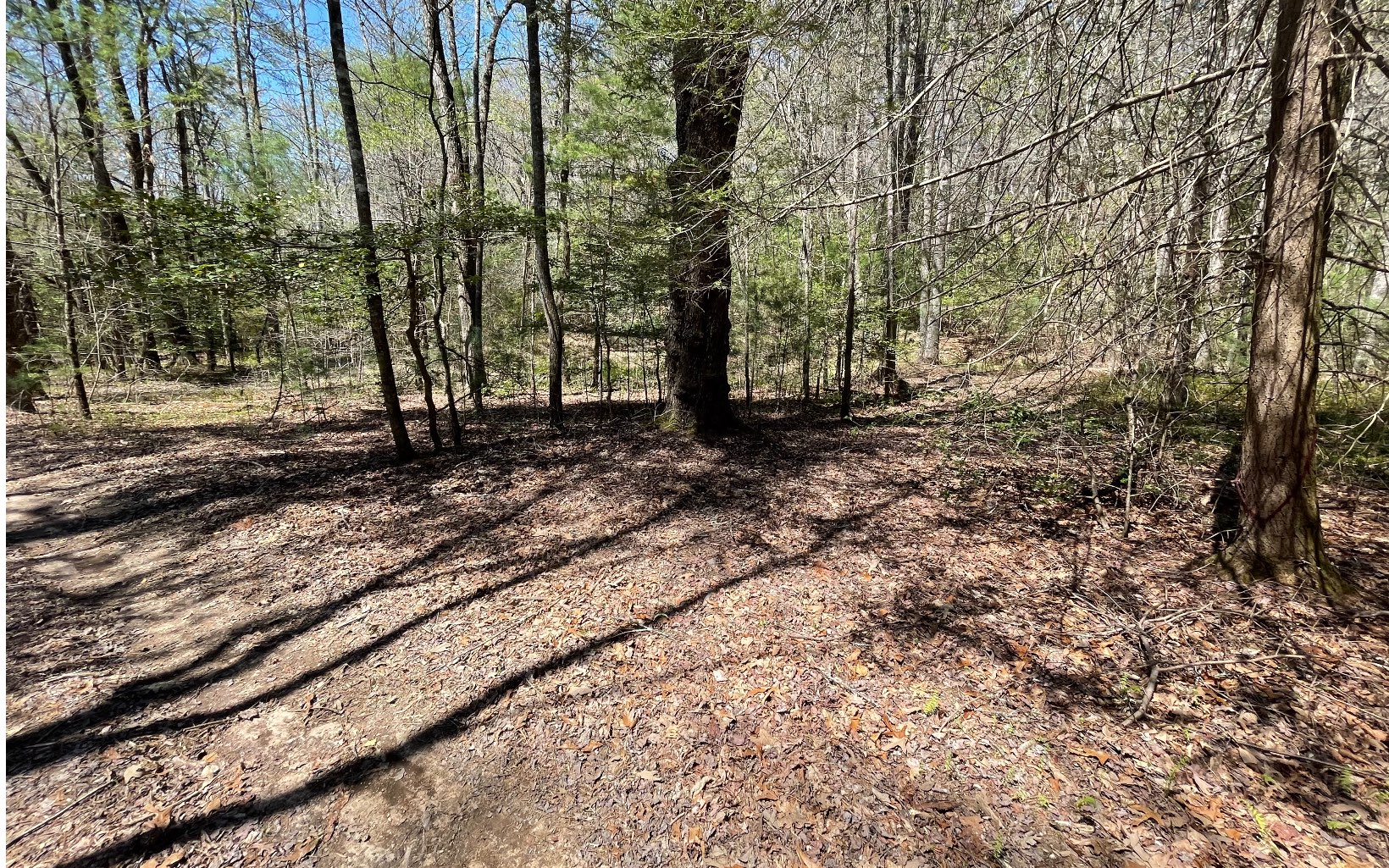 22-ac Valley Branch Road Blue Ridge, GA 30513 - Photo 25 of 74 Additional View