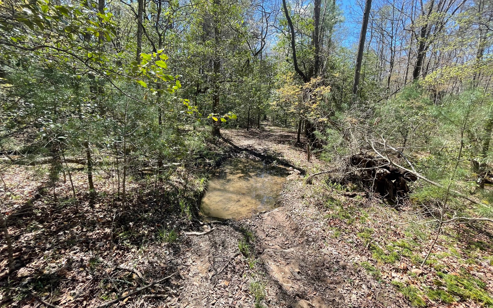 22-ac Valley Branch Road Blue Ridge, GA 30513 - Photo 26 of 74 Additional View