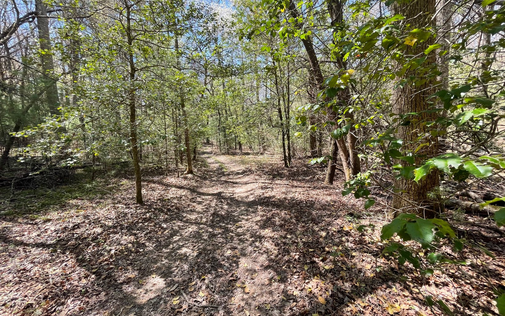 22-ac Valley Branch Road Blue Ridge, GA 30513 - Photo 28 of 74 Additional View