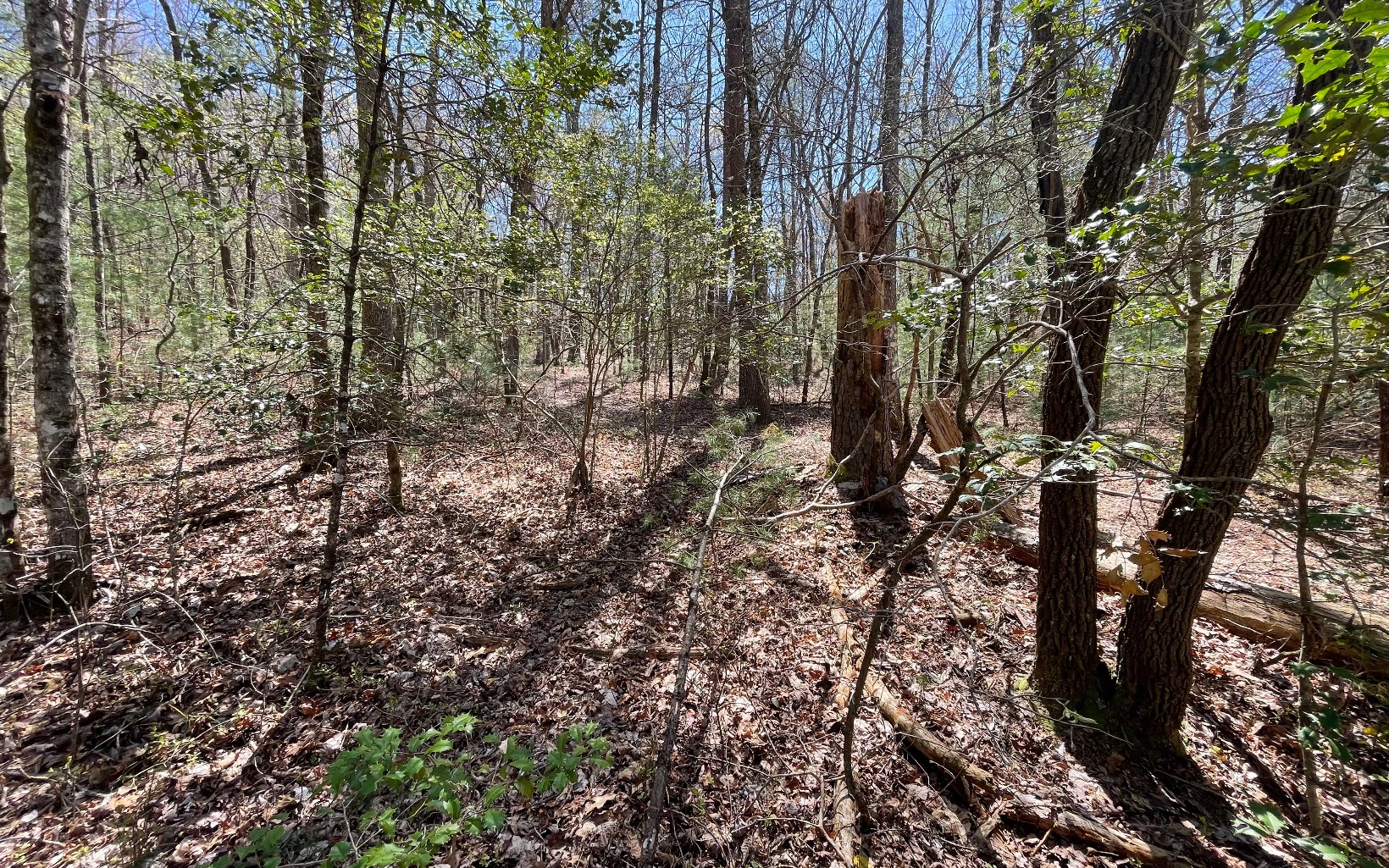 22-ac Valley Branch Road Blue Ridge, GA 30513 - Photo 29 of 74 Additional View