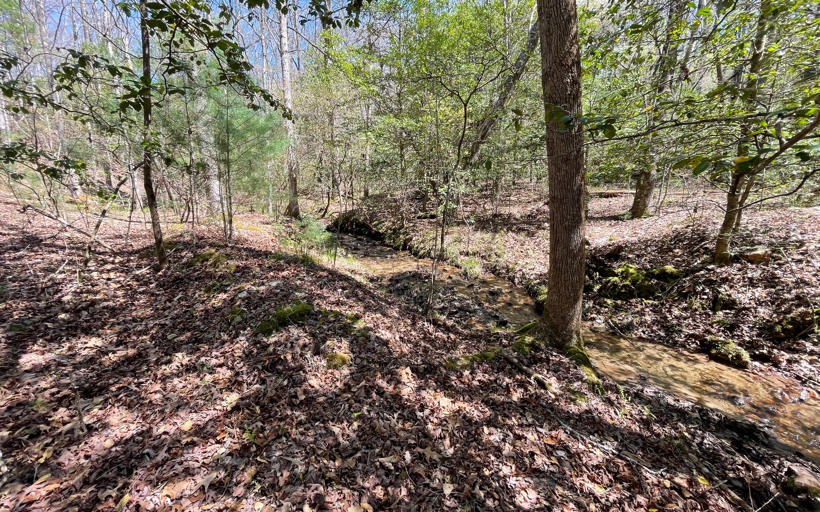 22-ac Valley Branch Road Blue Ridge, GA 30513 - Photo 36 of 74 Additional View