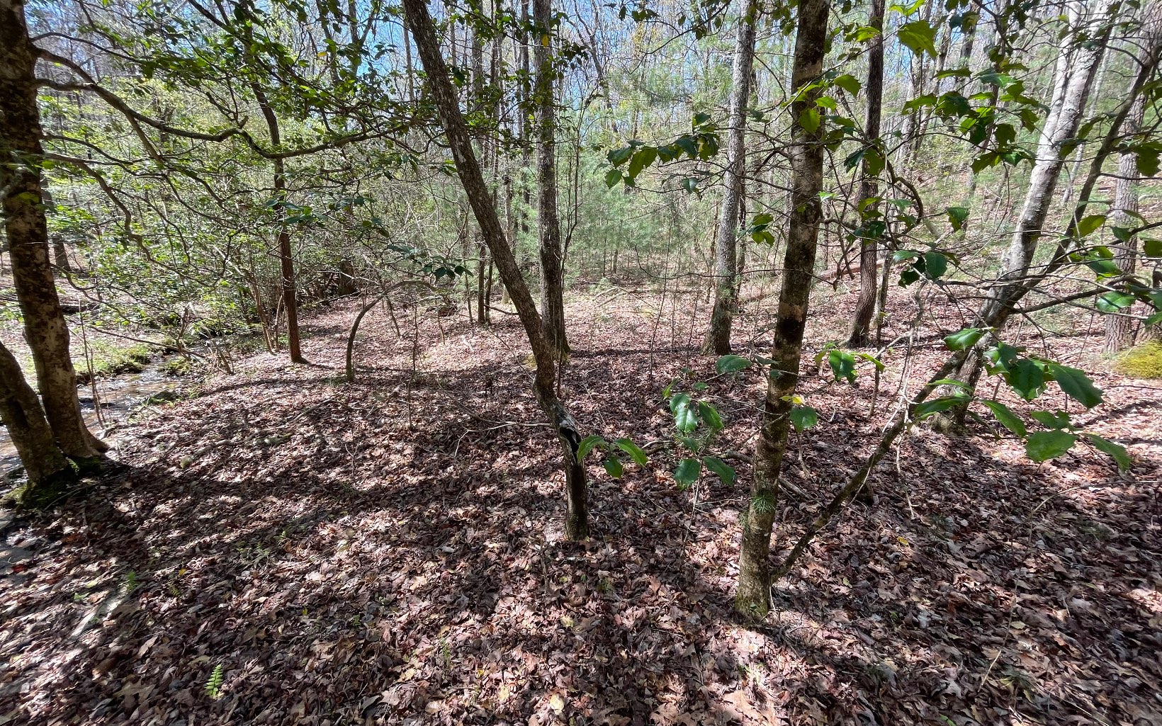 22-ac Valley Branch Road Blue Ridge, GA 30513 - Photo 37 of 74 Additional View