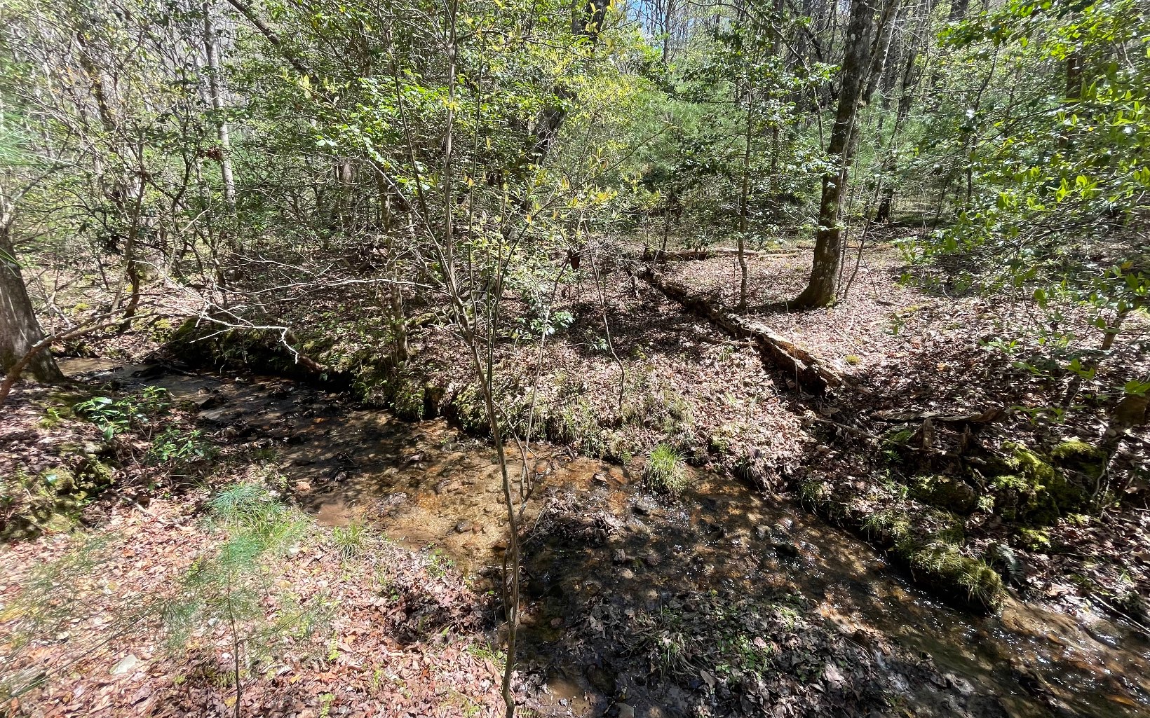 22-ac Valley Branch Road Blue Ridge, GA 30513 - Photo 39 of 74 Additional View
