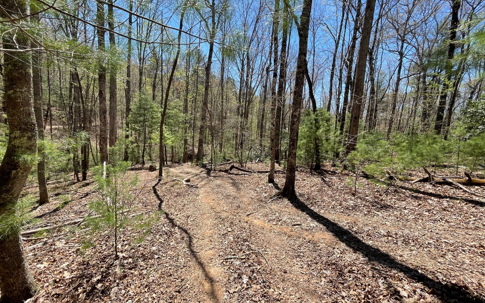22-ac Valley Branch Road Blue Ridge, GA 30513 - Photo 59 of 74 Additional View