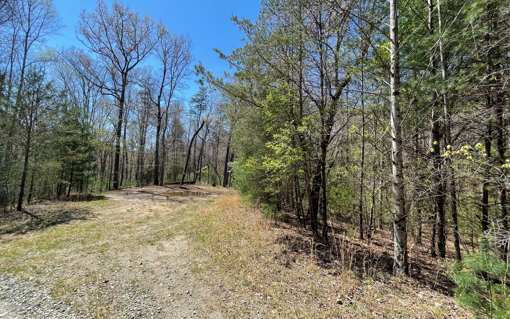 22-ac Valley Branch Road Blue Ridge, GA 30513 - Photo 6 of 74 Additional View