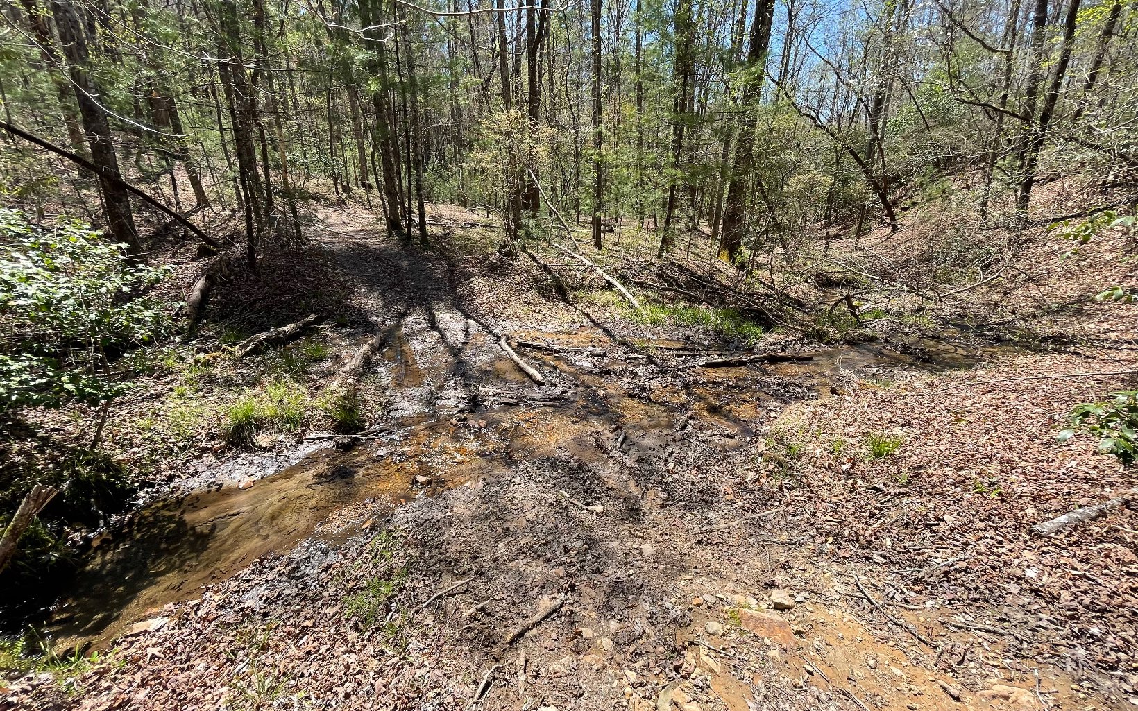 22-ac Valley Branch Road Blue Ridge, GA 30513 - Photo 61 of 74 Additional View