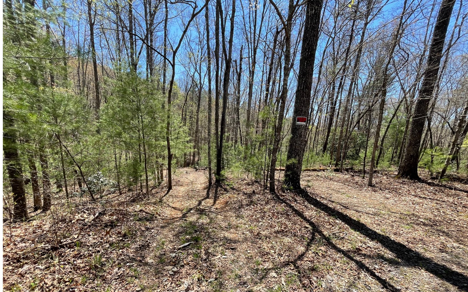 22-ac Valley Branch Road Blue Ridge, GA 30513 - Photo 62 of 74 Additional View