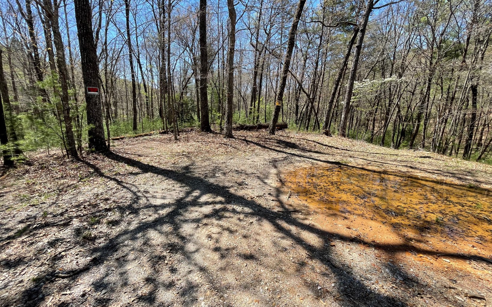 22-ac Valley Branch Road Blue Ridge, GA 30513 - Photo 63 of 74 Additional View