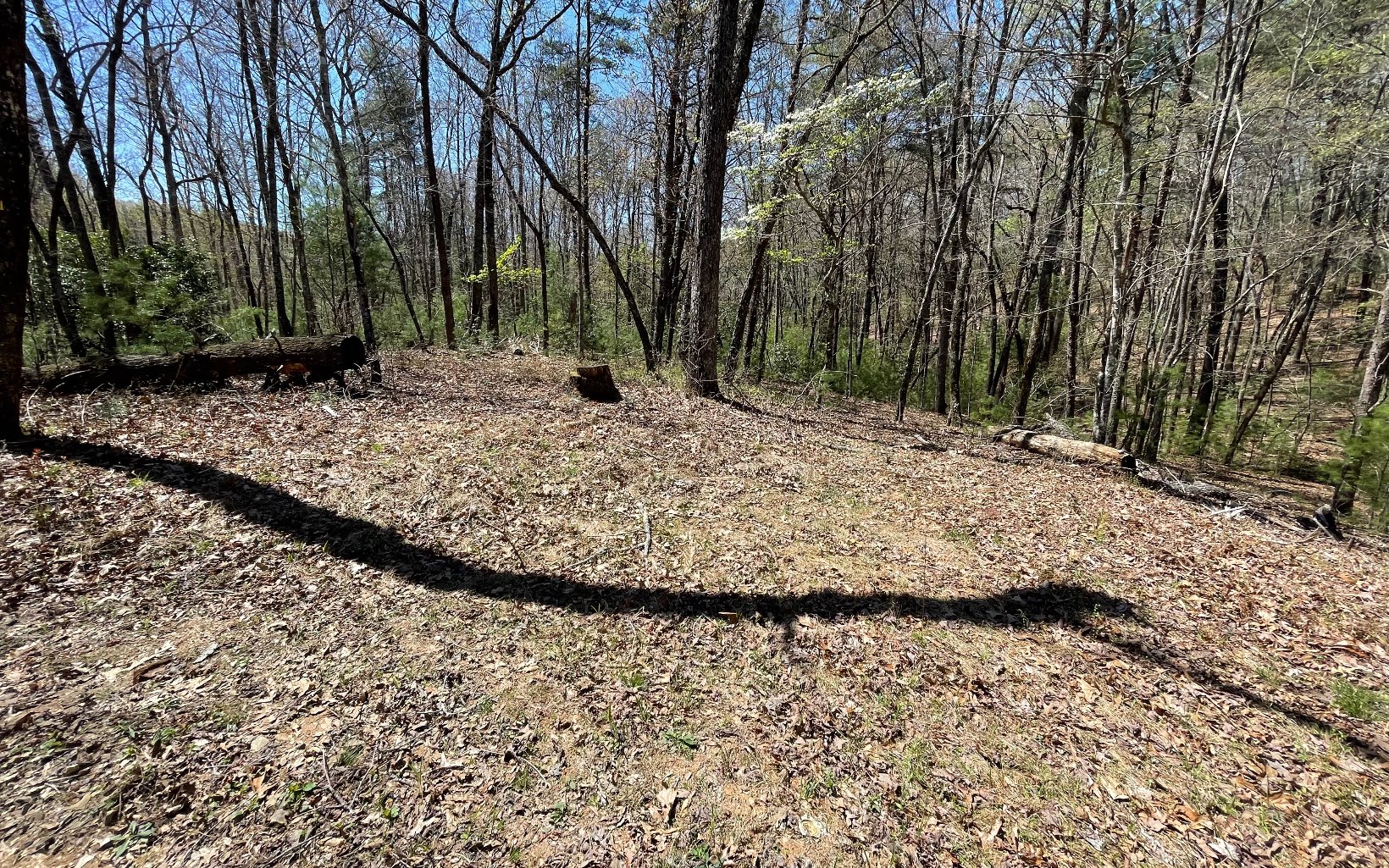 22-ac Valley Branch Road Blue Ridge, GA 30513 - Photo 64 of 74 Additional View