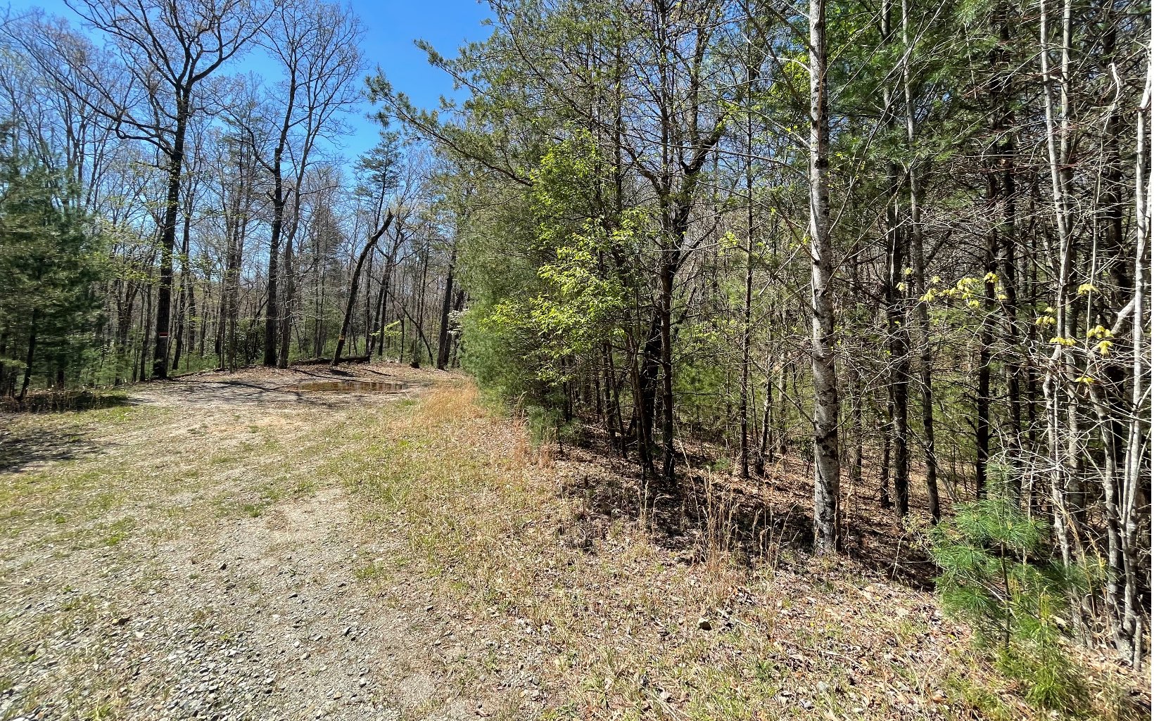 22-ac Valley Branch Road Blue Ridge, GA 30513 - Photo 65 of 74 Additional View