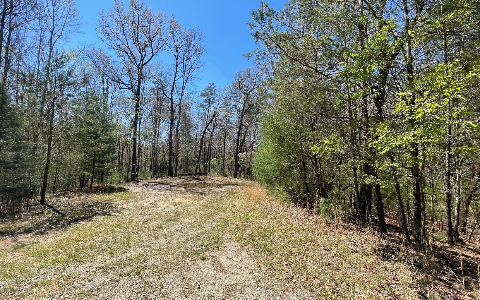 22-ac Valley Branch Road Blue Ridge, GA 30513 - Photo 66 of 74 Additional View