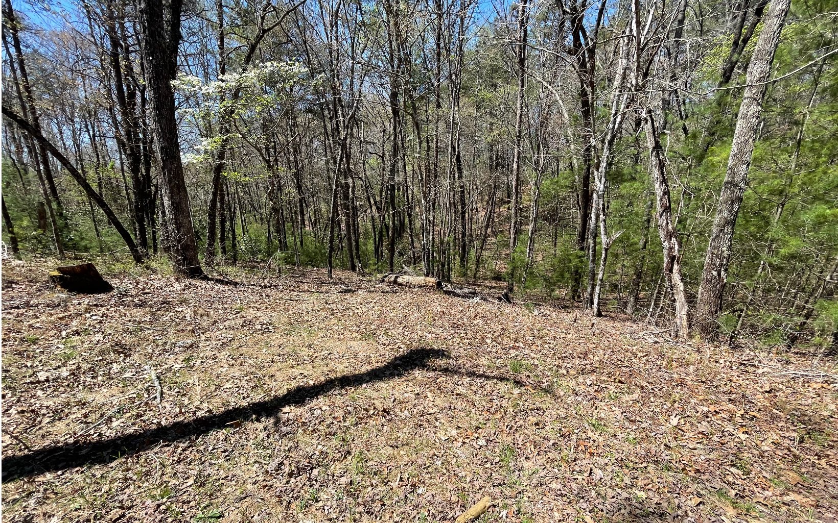 22-ac Valley Branch Road Blue Ridge, GA 30513 - Photo 68 of 74 Additional View