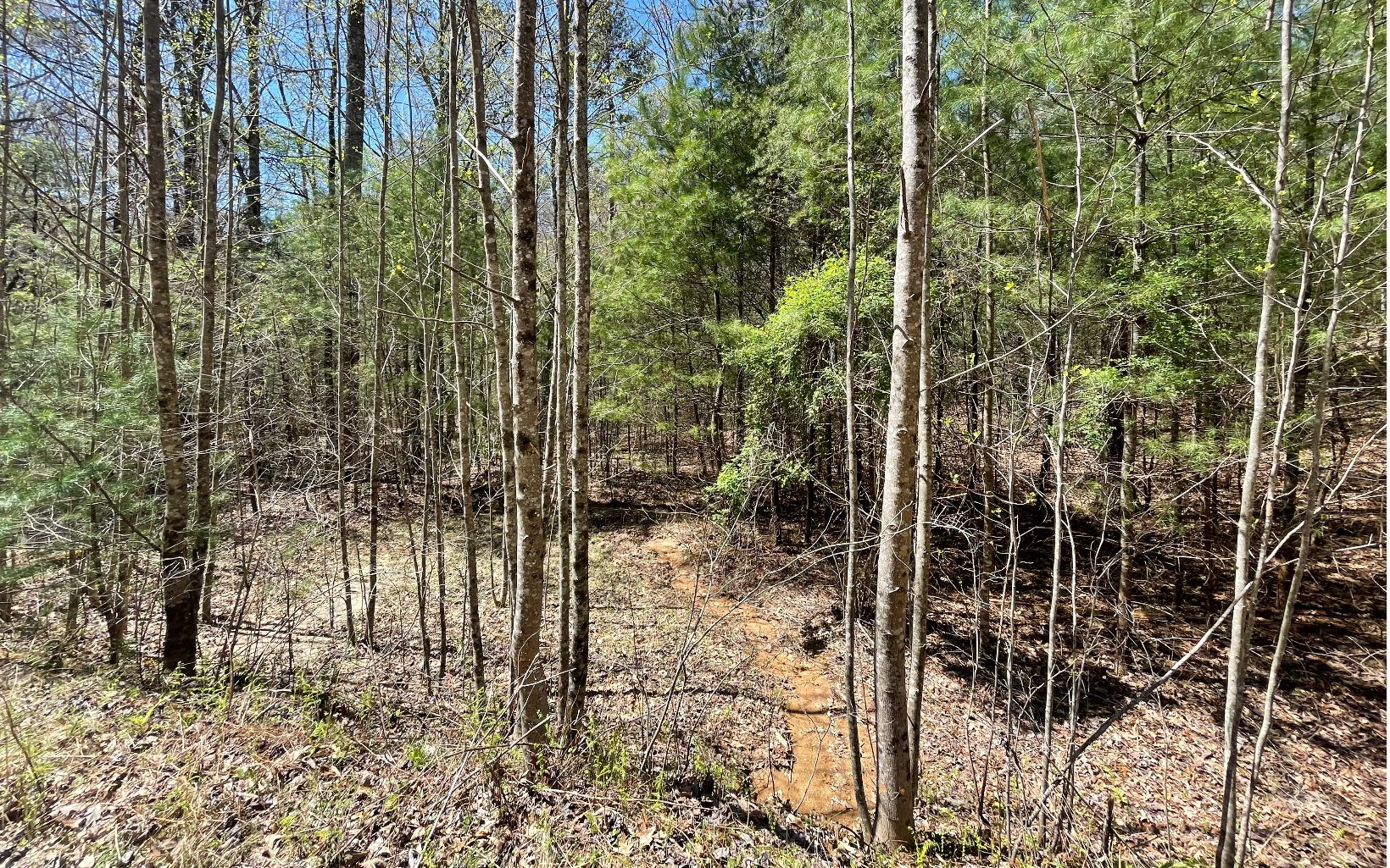 22-ac Valley Branch Road Blue Ridge, GA 30513 - Photo 70 of 74 Additional View