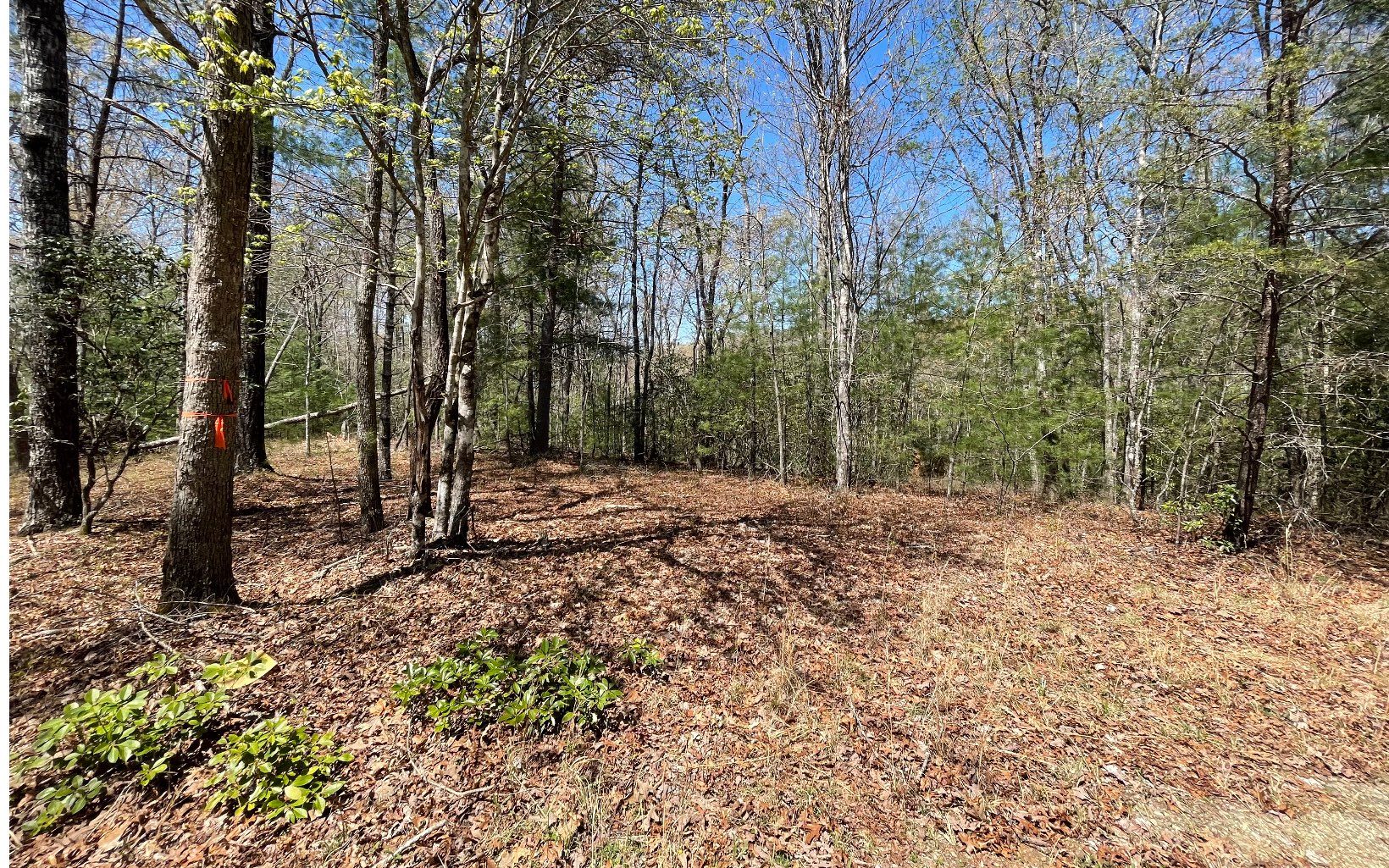 22-ac Valley Branch Road Blue Ridge, GA 30513 - Photo 7 of 74 Additional View