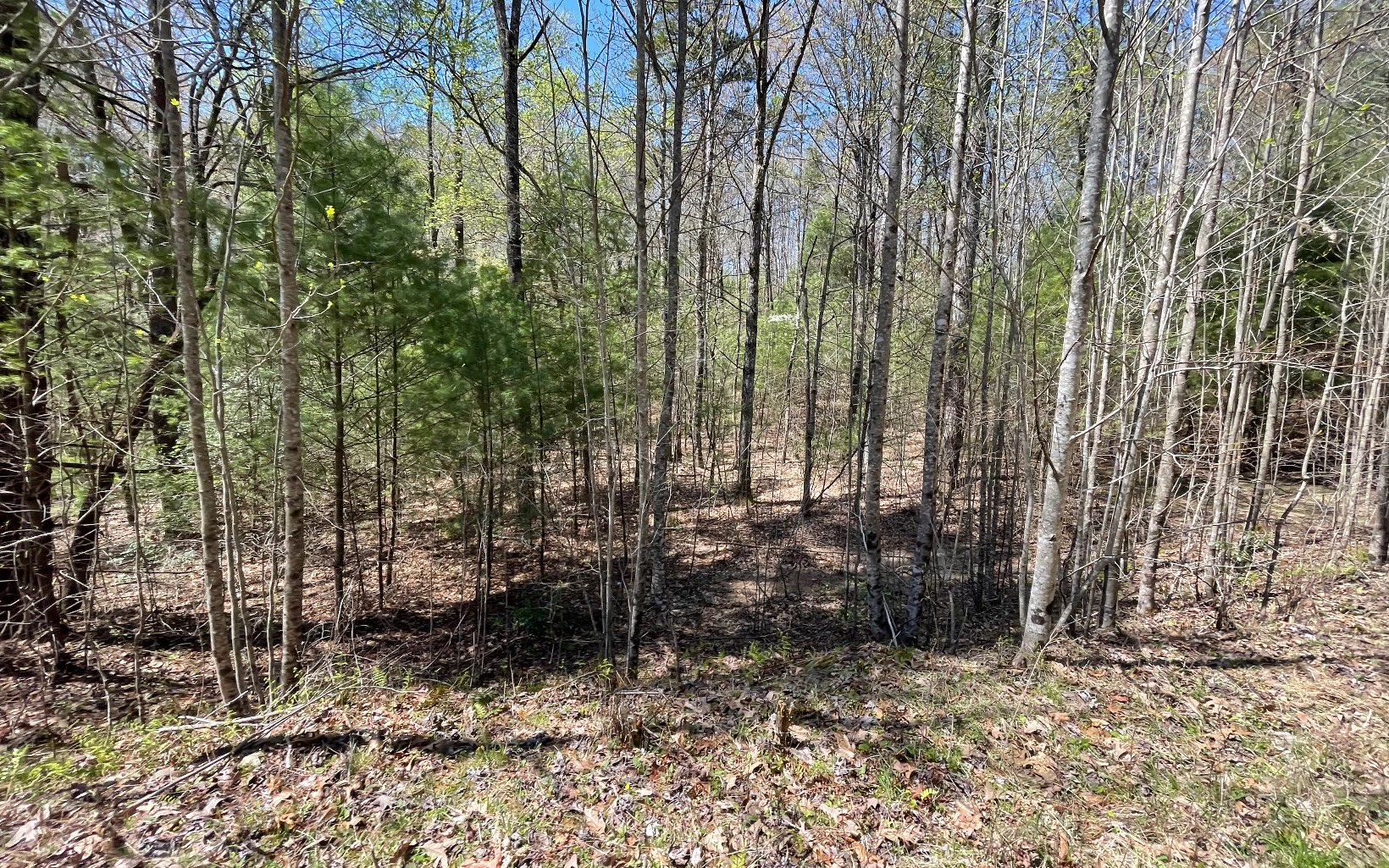 22-ac Valley Branch Road Blue Ridge, GA 30513 - Photo 10 of 74 Additional View