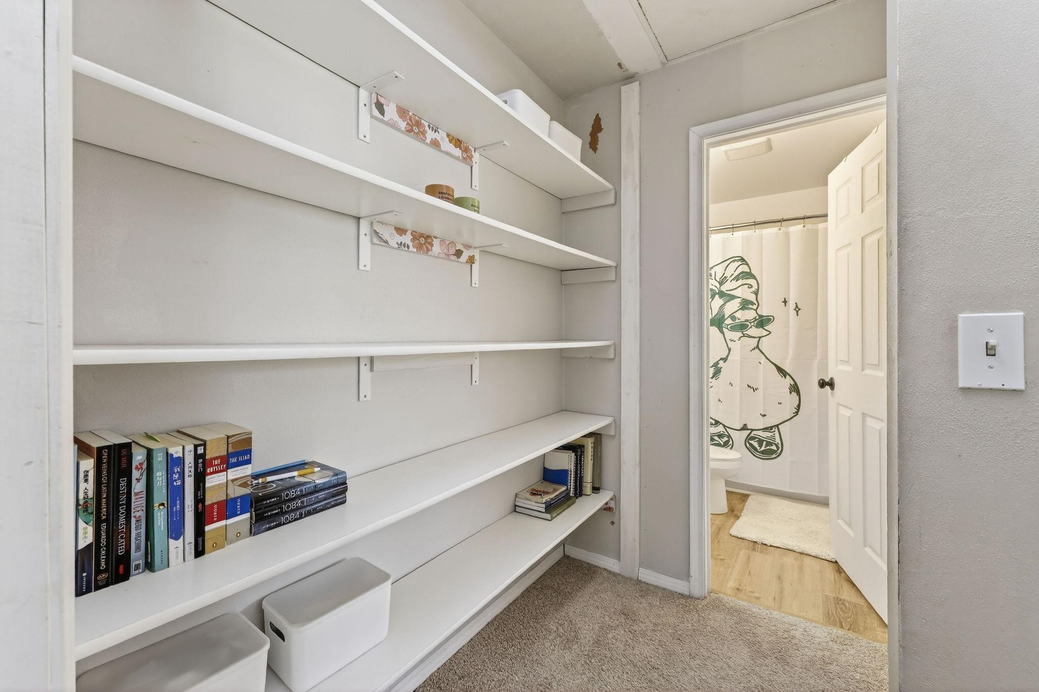 507 East, Unit 507 Madison, WI 53704 - Photo 25 of 62