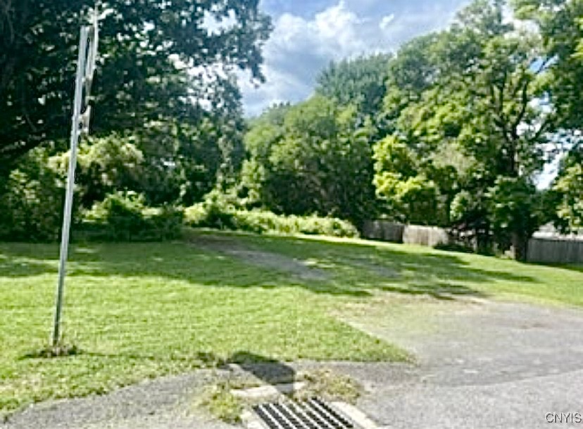 Warners Road Warners, NY 13164 - Photo 3 of 6