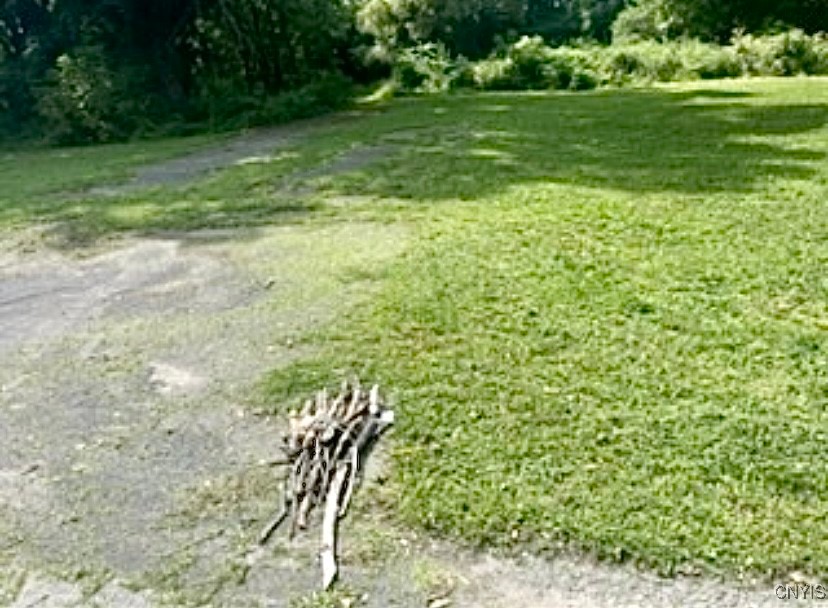 Warners Road Warners, NY 13164 - Photo 4 of 6