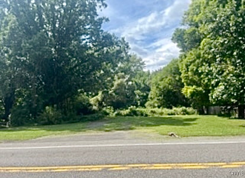 Warners Road Warners, NY 13164 - Photo 6 of 6