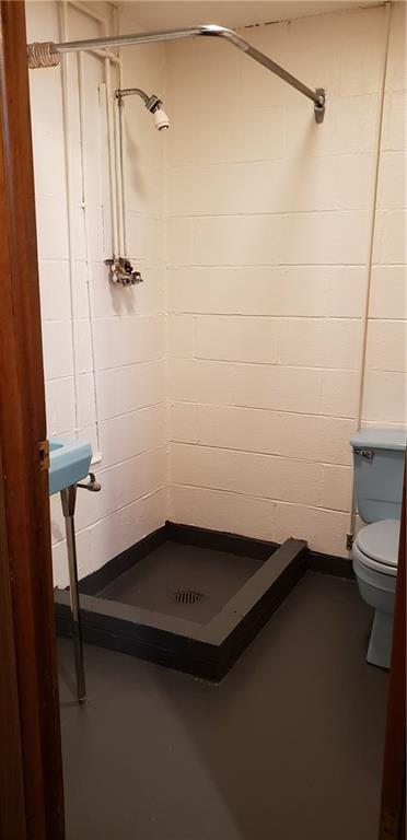 969 Edmon Road Apollo, PA 15613 - Photo 22 of 25 Lower level Gentlemans Bathroom