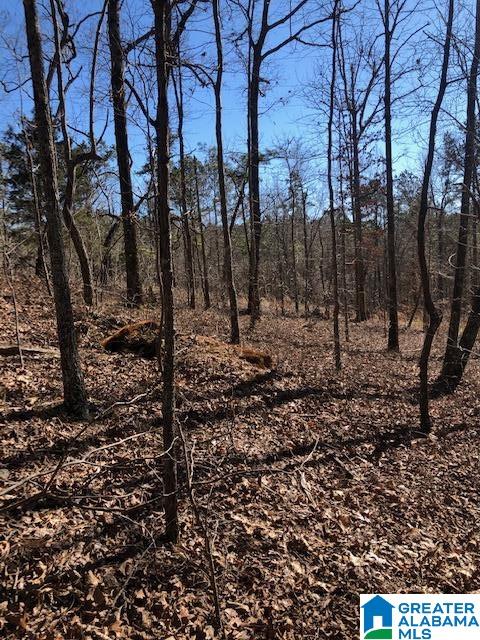 0 Pleasant Valley Road, Unit 1 Jacksonville, AL 36265 - Photo 22 of 24