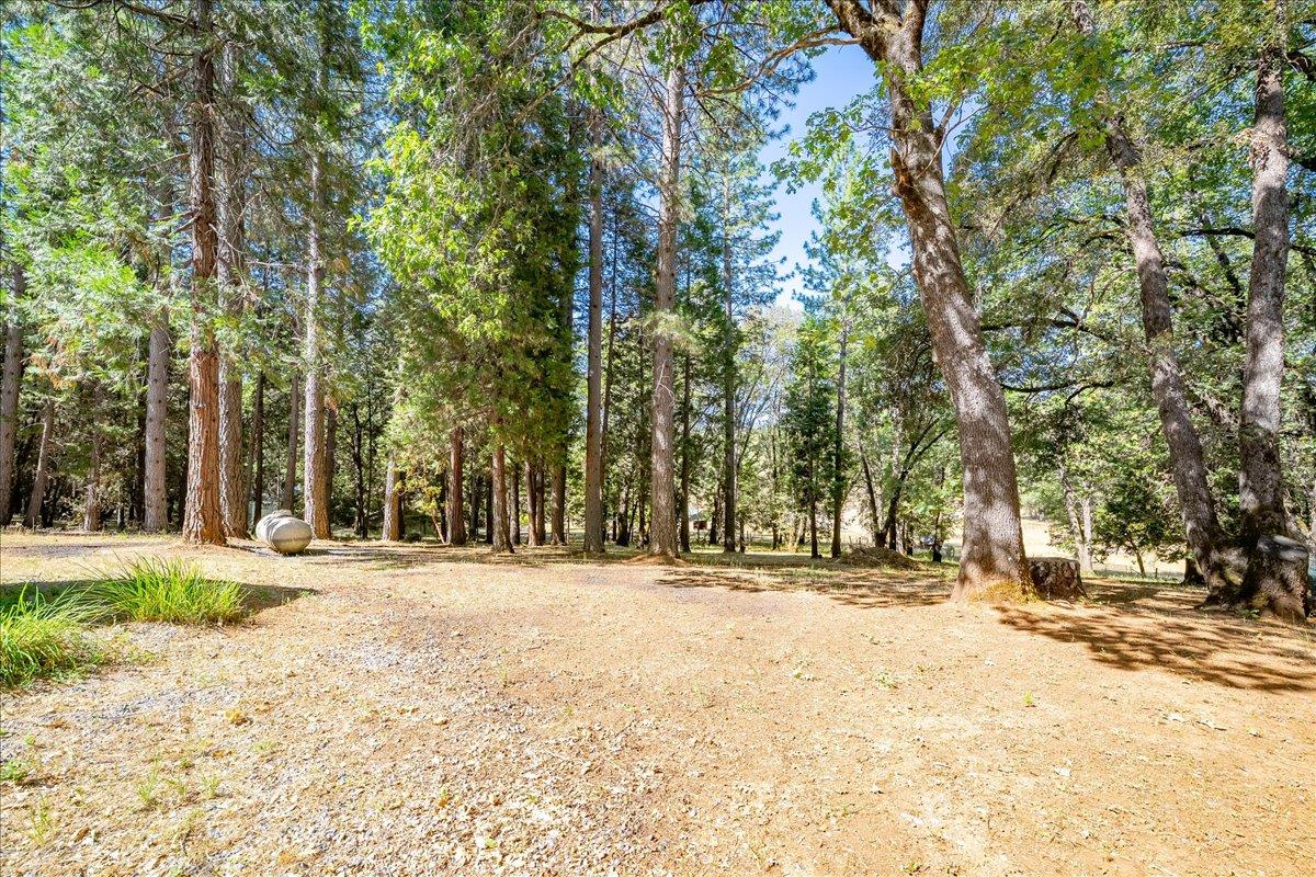 4380 Slodusty Road Garden Valley, CA 95633 - Photo 56 of 63