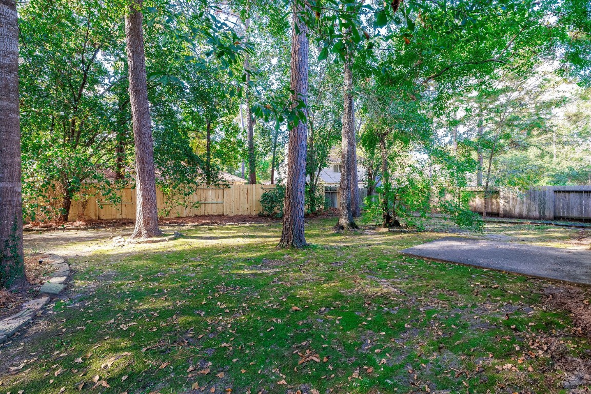 18 Tallow Hill Place Spring, TX 77382 - Photo 18 of 21 a backyard of a house with plants and large tree