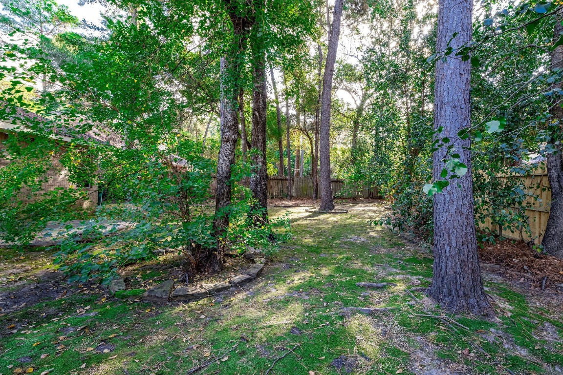 18 Tallow Hill Place Spring, TX 77382 - Photo 19 of 21 a view of a forest with a tree