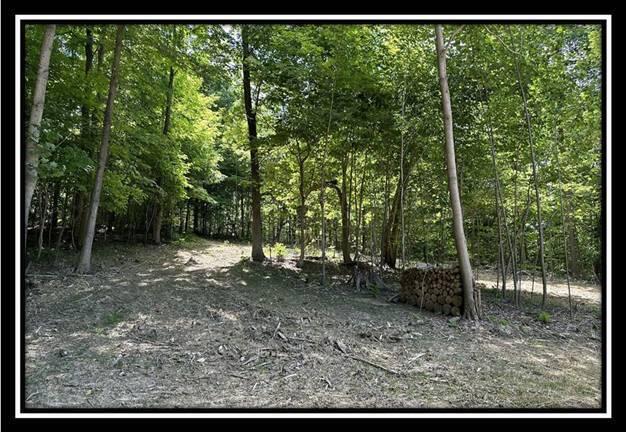 59 Weaver Road, Unit TRACT C) Chillicothe, OH 45601 - Photo 5 of 36 image005