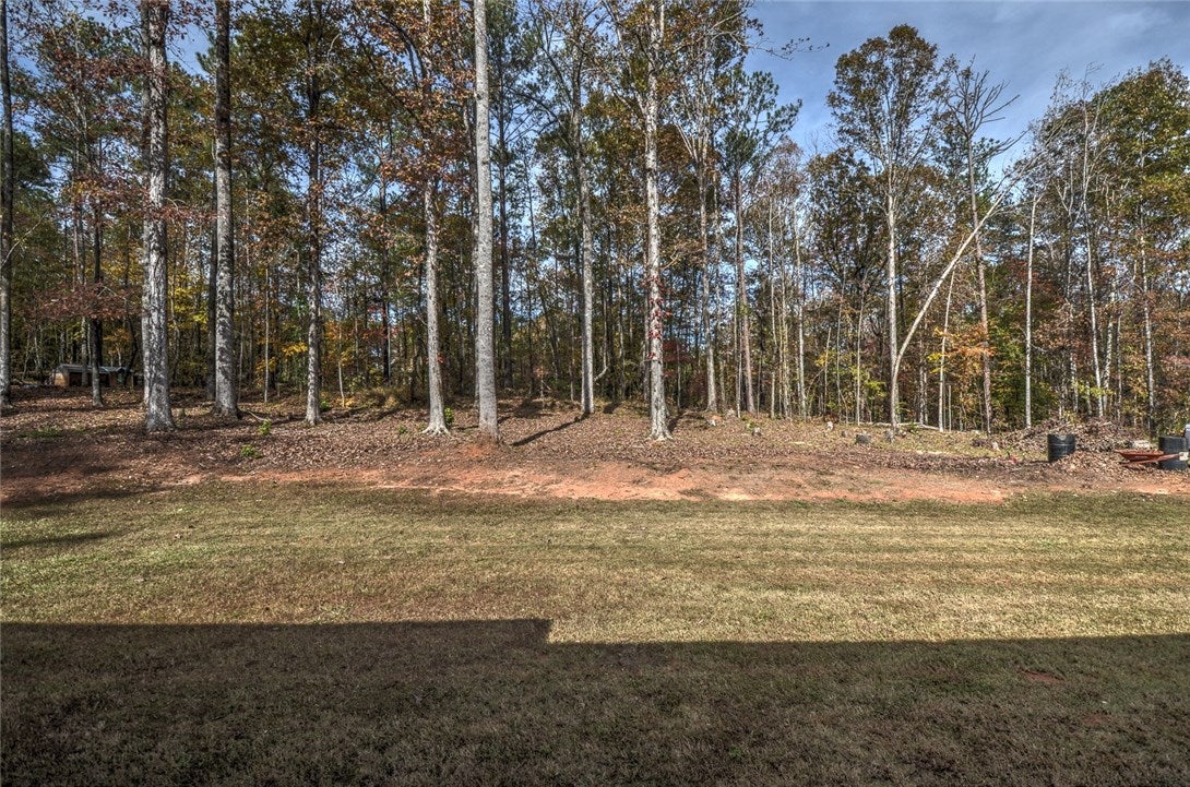 237 Lee Road Salem, AL 36874 - Photo 9 of 27 Gallery Image 9