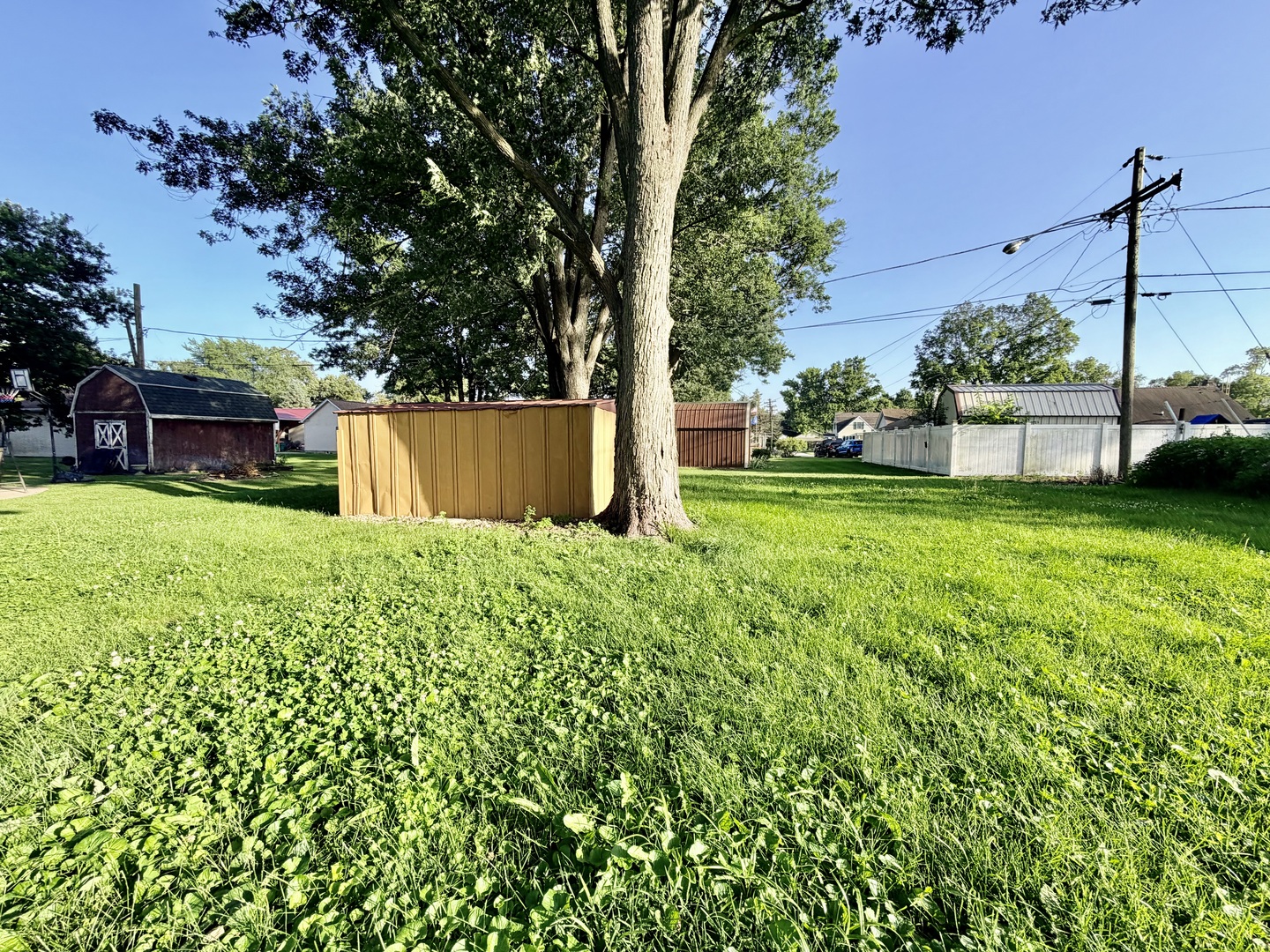 1105 Carroll Street Streator, IL 61364 - Photo 17 of 17