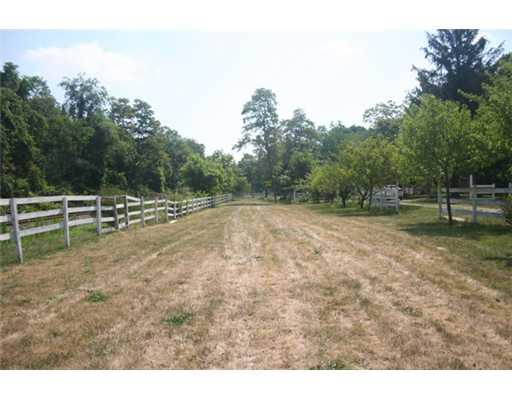 105 Sugar Run Road Venetia, PA 15367 - Photo 4 of 14 Yard/Garden.